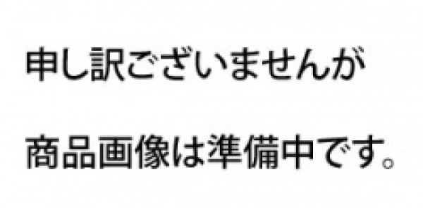 画像1: 河西様特注ブレンドスパイス（主）100g×50袋、1kg×5袋 (1)