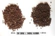 画像2: 花椒（ホール）B選別品 100g (2)