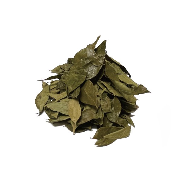 画像1: カレーリーフ（50ｇ） (1)