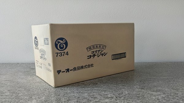画像1: テーオー コリアンコチジャン （5g×100入）×12入 (1)