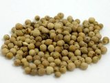 ホワイトペッパー（ホール）50ｇ