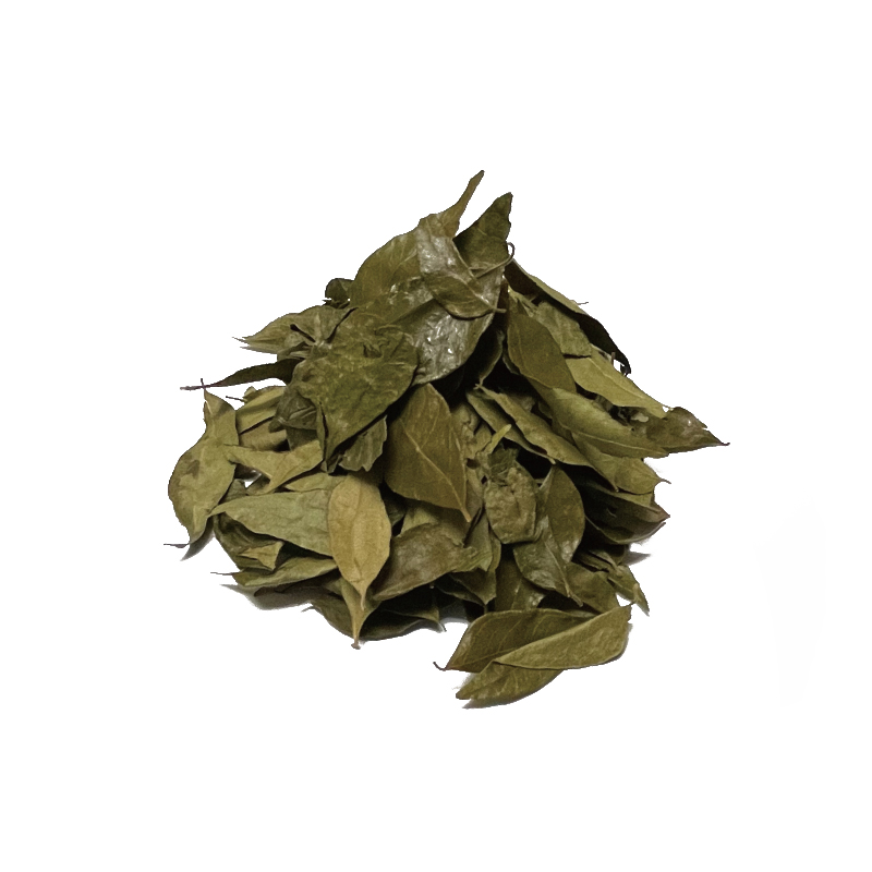 カレーリーフ（50ｇ）